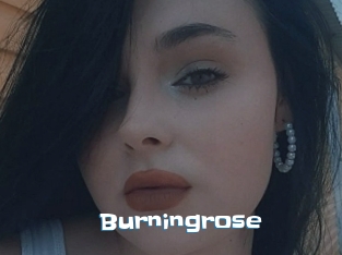 Burningrose