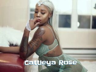 Cattleya_Rose