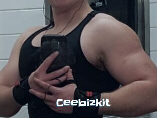 Ceebizkit