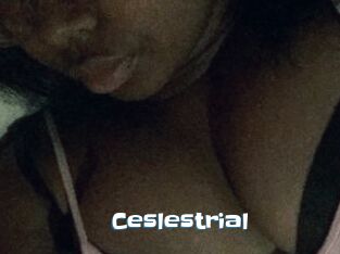 Ceslestrial