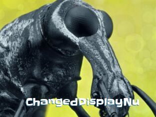 ChangedDisplayNu