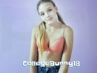 CollegeBunny18