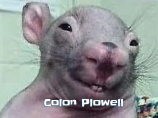 Colon_Plowell