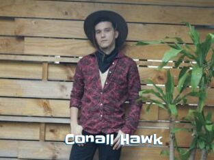 Conall_Hawk