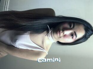 Camini