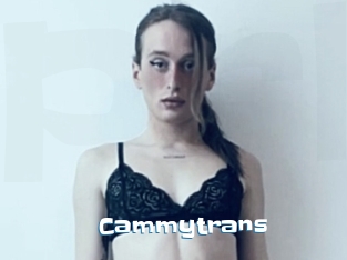 Cammytrans