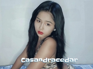 Casandracedar