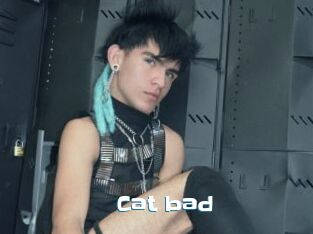 Cat_bad