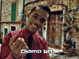 Chamo_brown