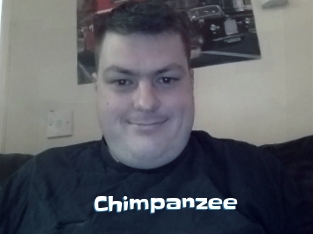 Chimpanzee