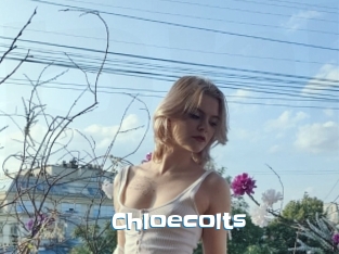 Chloecolts