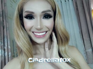 Cindrellafox