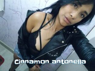 Cinnamon_antonella