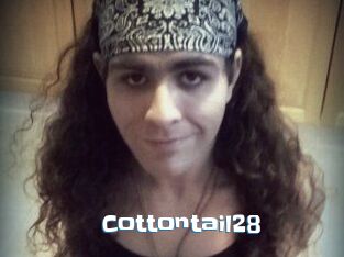 Cottontail28