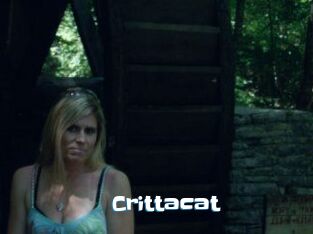 Crittacat