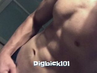 Digbick101