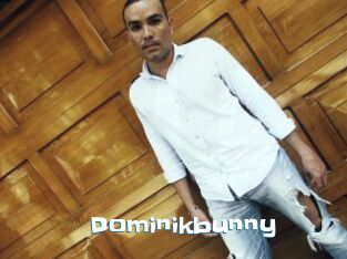 Dominikbunny