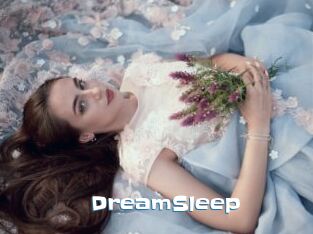 DreamSleep