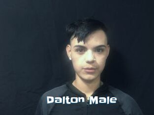 Dalton_Male