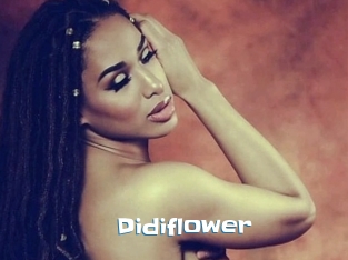 Didiflower
