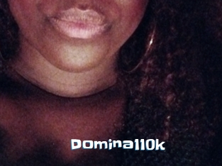 Domina110k