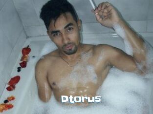 Dtorus
