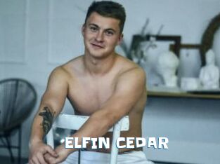 ELFIN_CEDAR