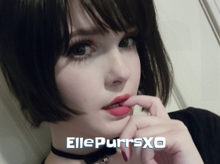 EllePurrsXO