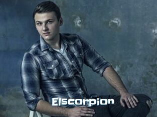 Elscorpion