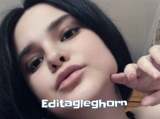 Editagleghorn