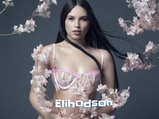 Elihodson