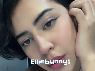 Elliebunny1