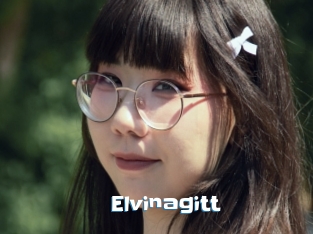 Elvinagitt
