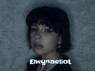 Elwynaeliot