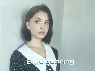 Engelgearing