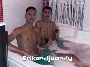 Erikandjuandy