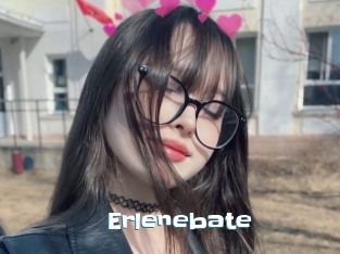 Erlenebate