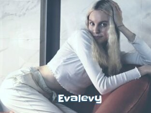 Evalevy