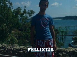 FELL1X123