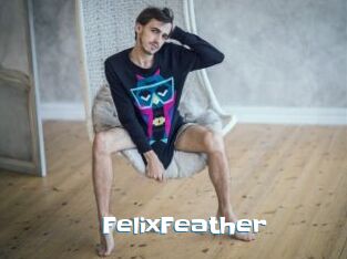 FelixFeather