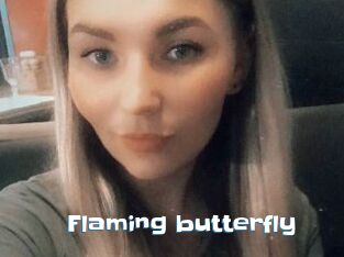 Flaming_butterfly