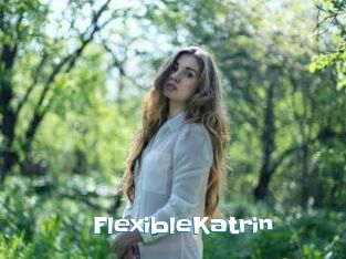FlexibleKatrin