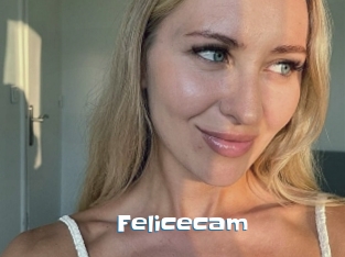 Felicecam