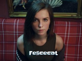 Felicecat
