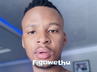 Figowethu