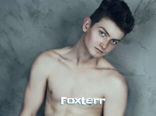 Foxterr