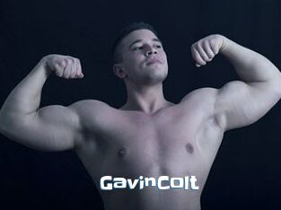 GavinColt