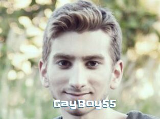 GayBoy55