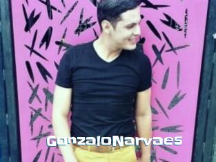 GonzaloNarvaes