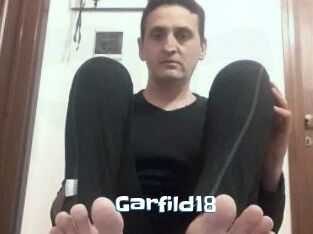 Garfild18
